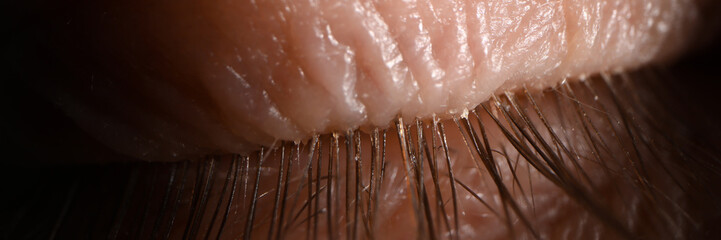 Human eye lash natural condition closeup