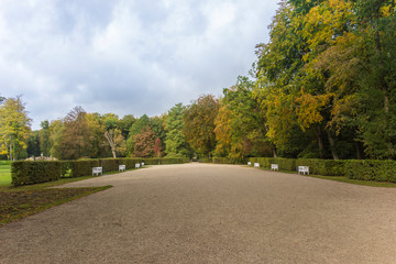 Park in autumn