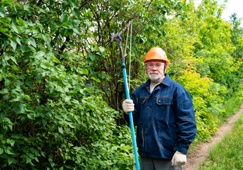 gardener in helmet trims trees in garden. protection from falling down branches