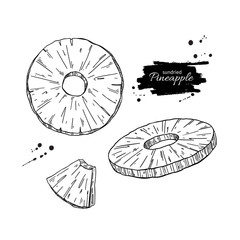Dried pineapple chips vector drawing. Hand drawn dehydrated fruit ring and slices.