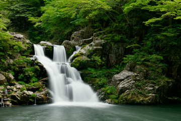 Fototapeta na wymiar 新緑の三段峡の三段滝
