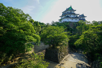日本100名城・和歌山城の新緑