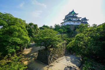 日本100名城・和歌山城の新緑