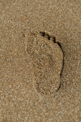 Fototapeta na wymiar footprint in the sand, imprint