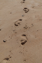 footprint in the sand, imprint