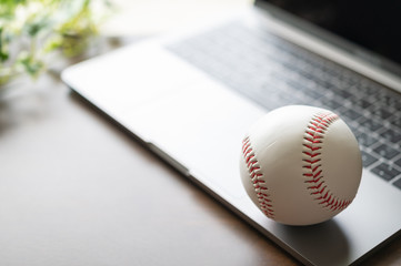 オンライン野球観戦