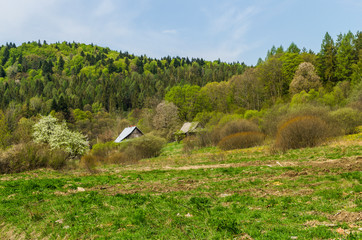 Bieszczady  © wedrownik52