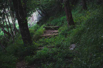 Forest path in the mountains. Path of the god called Sentiero Degli Dei at Amalfi Coast. Italy