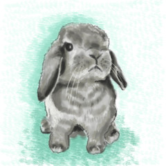 small fluffy gray decorative rabbit