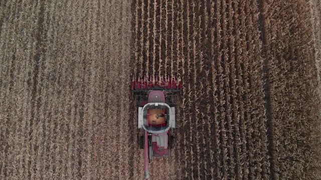 A combine harvester picking corn in the fall.