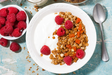homemade granola with dried apricots, raspberries and yogurt, top view closeup
