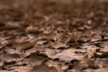 Cracked soil landscape texture on ground earth with natural light sunset of the sun with dramatic yellow and orange sky. Image depth of field.