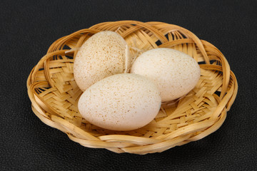 Three big raw turkey egg