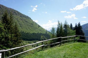 Fototapeta na wymiar Paesaggio montano