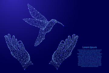 Hummingbird flies and two holding, protecting hands from futuristic polygonal blue lines and glowing stars for banner, poster, greeting card. Vector illustration.