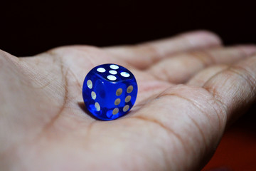 dice in hand