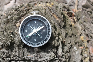Old compass on natural wooden background