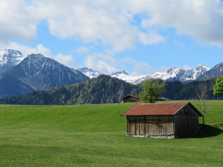 Fototapeta na wymiar Allgäuer Landschaft im Frühling