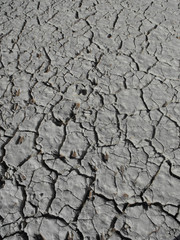 Dry salt pan near Deadvlei close to Sossusvlei in Namibia Namib desert