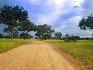 Fototapeta na wymiar Dirt road leading nowhere during the day in the Kruger National Park in Mpumalanga in South Africa