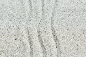 Zen Pattern in Sand