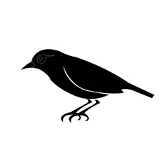 Silhouette Logo