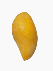 single mango fruit on white background.