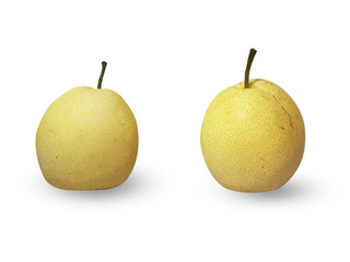 The barrow fruit is a yellow lace with a sweet taste on a white background.