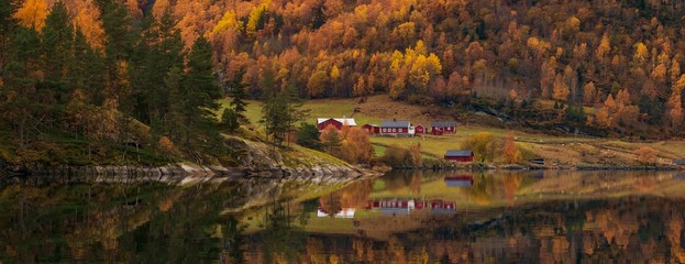 panoramic view to the beautiful Sognefjord in Norway in autumn