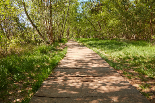 Holzweg durch das Venner Moor, einem Naturschutzgebiet in der Gemeinde Senden in Nordrhein-Westfalen, Deutschland.