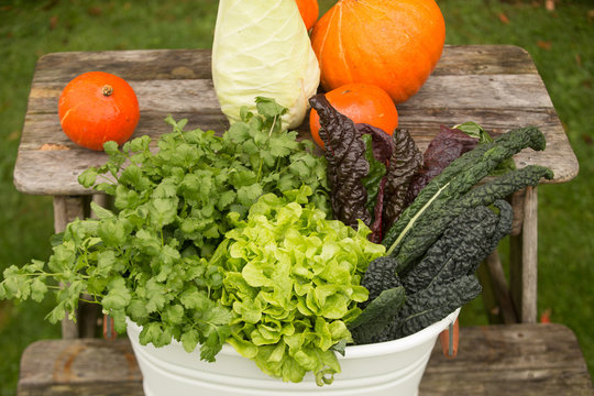 fresh greens from the market