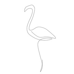 Flamingo bird silhouette vector illustration