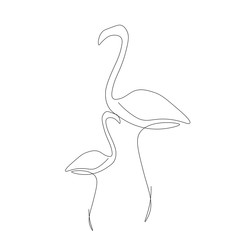 Flamingo bird family line drawing vector illustration	