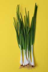 fresh green onion (shallots or scallions) on yellow background