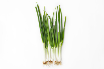 fresh green onion (shallots or scallions) on white background