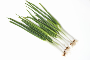 fresh green onion (shallots or scallions) on white background