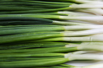 fresh green onion (shallots or scallions