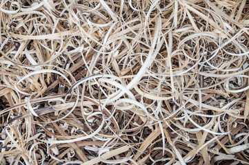 Wood shavings after wood processing close up.