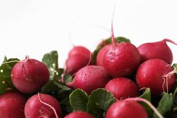 Red radishes isolated on white background