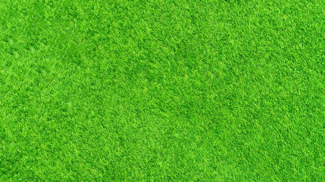 top view green grass texture rotate camera to right.