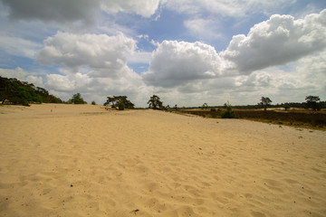 Dutch clouds in the sky and sand dunes with trees. The yellow sand and green trees with sun through the dutch clouds
