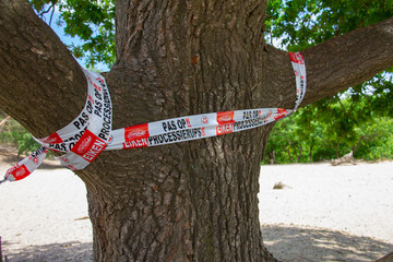 sign with urgent message that there are larve nests on the dutch oak