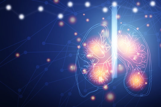 Human Lung. Lung Damage From The Corona Virus Covid 19. The Technology Concept.