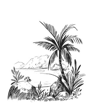 Sketch of a tropical beach with palm trees and the sea. Hand drawn illistration converted to vector