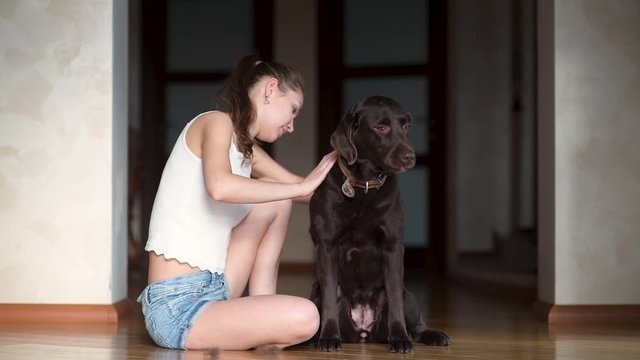 A young woman takes care of her dog s coat, but the big and strong dog wants to leave, it s hard for the mistress to keep her in place. Combing the dog in the hallway of the house