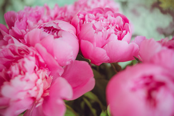 Fototapeta premium Big bouquet of beautiful pink peonies