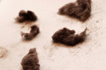 Bunch of Dust and Fiber Particles