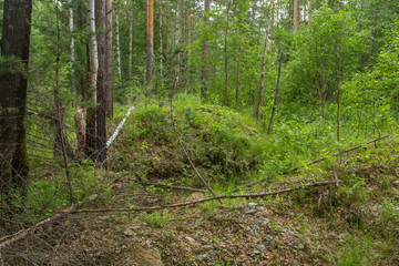 Old abandoned emerald gems mine open pit in forest
