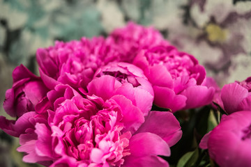 Bouquet of beautiful pink flowers