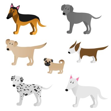 Set of cute cartoon dog races isolated on white bachround. For a possible packaging or graphic. Vector illustration.